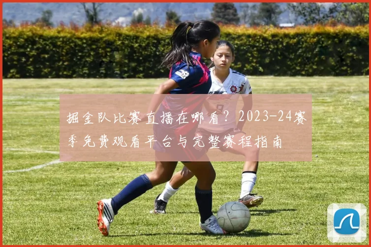 掘金队比赛直播在哪看？2023-24赛季免费观看平台与完整赛程指南